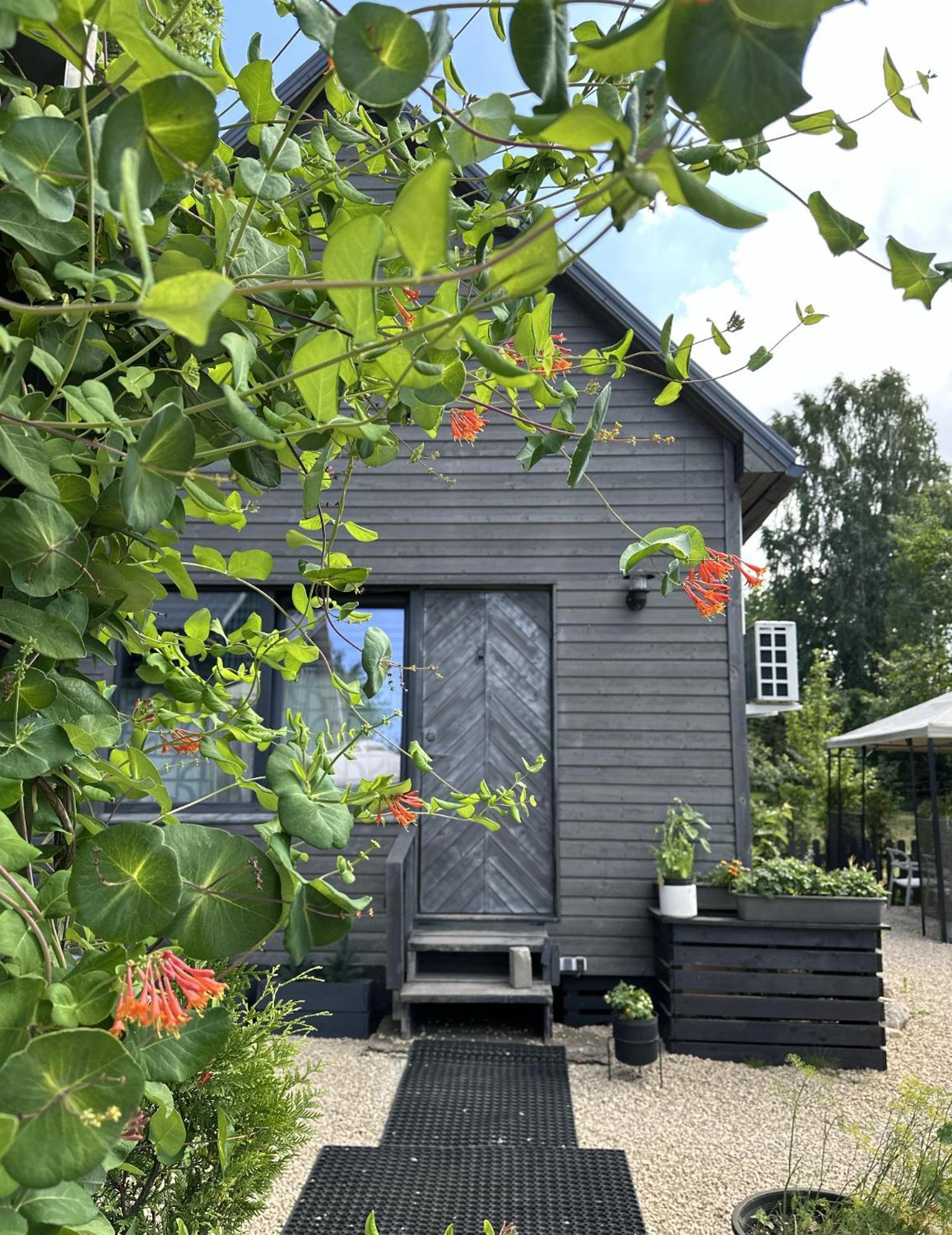 Amazing Little House On An Island With Garden Villa Riga Dış mekan fotoğraf